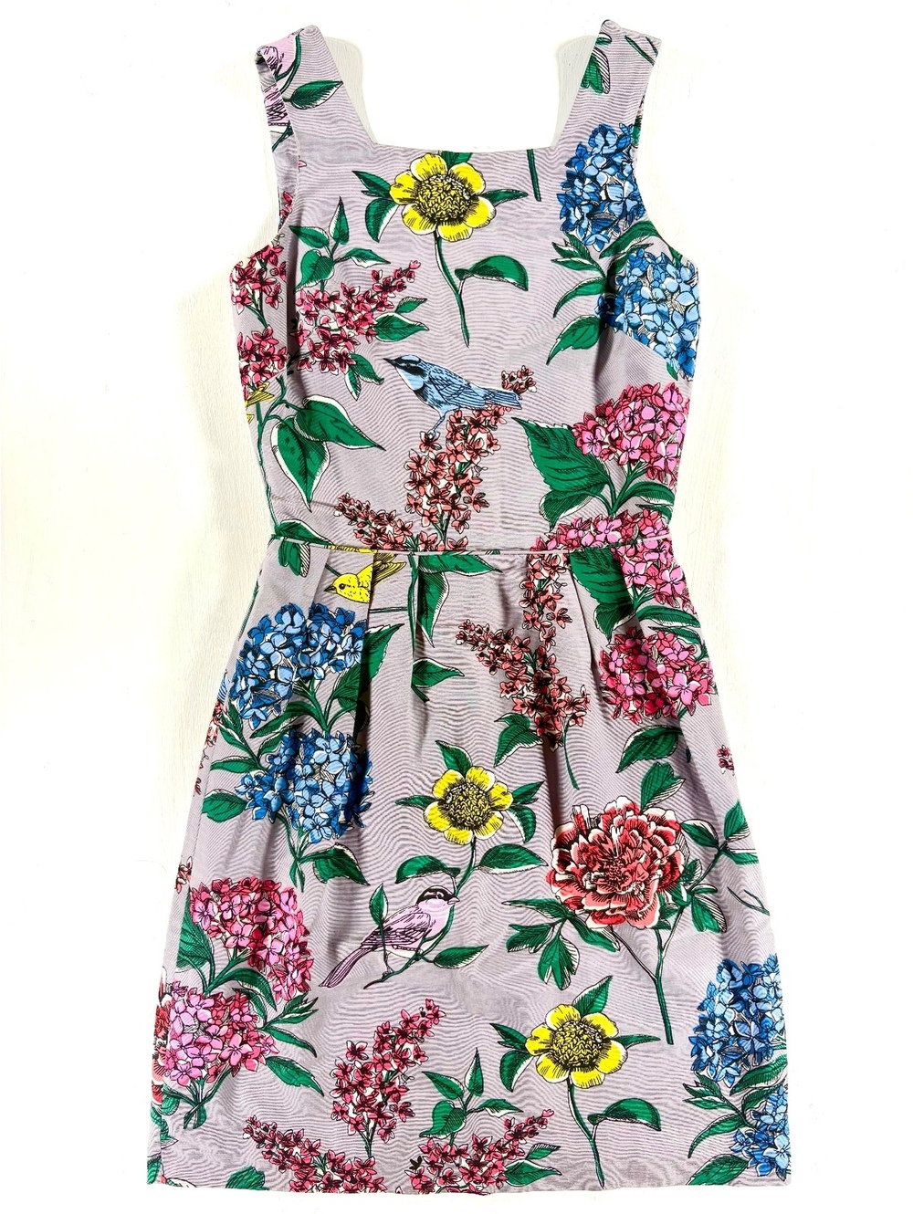 Boden Floral Bird Print Sleeveless Fit Flare Garden Party Cottagecore Dress